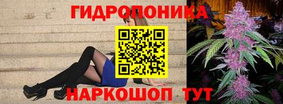 крисы Кандалакша